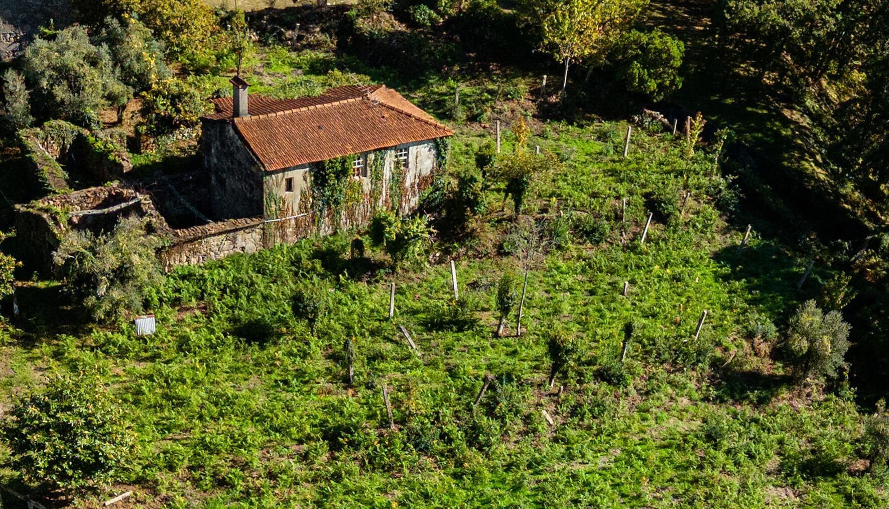Quinta centenária em Real, Covas