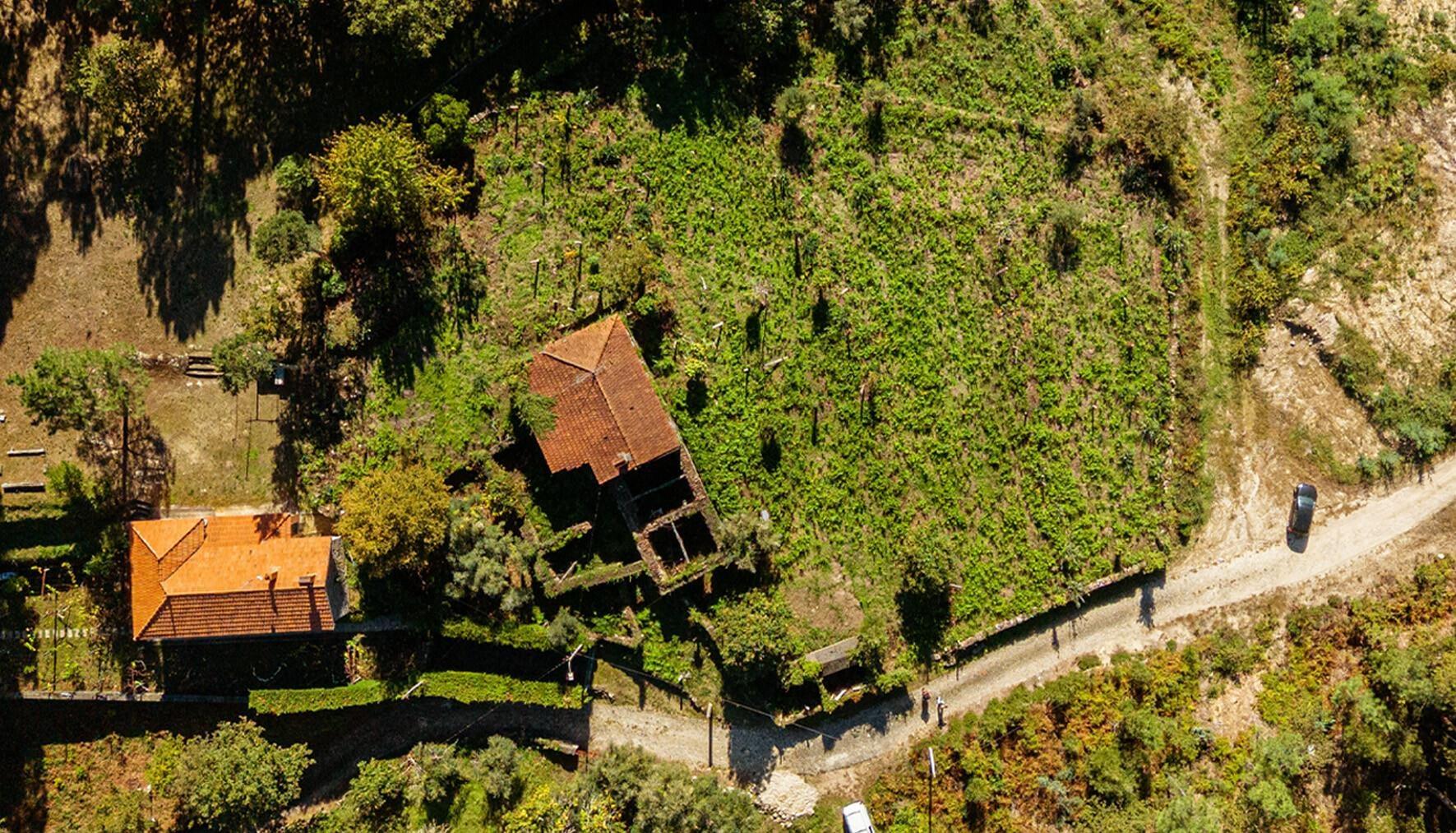 Quinta centenária em Real, Covas