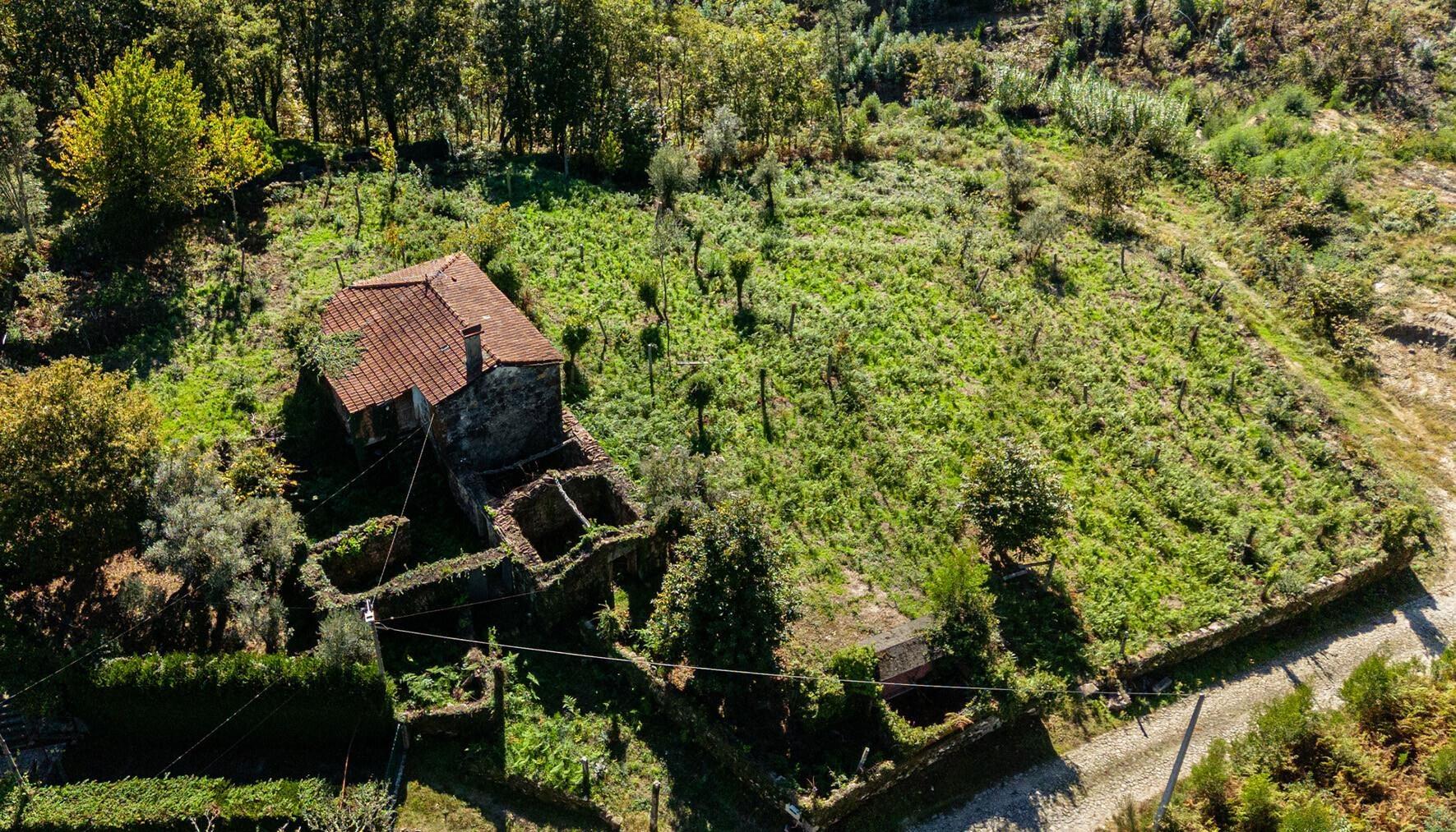 Quinta centenária em Real, Covas