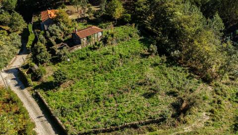 Quinta centenária em Real, Covas