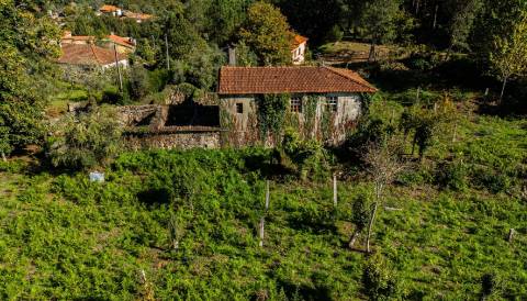 Quinta centenária em Real, Covas