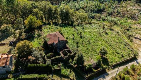 Quinta centenária em Real, Covas