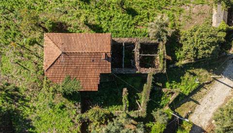 Quinta centenária em Real, Covas