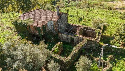 Quinta centenária em Real, Covas