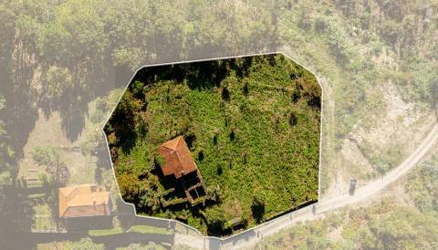 Quinta centenária em Real, Covas