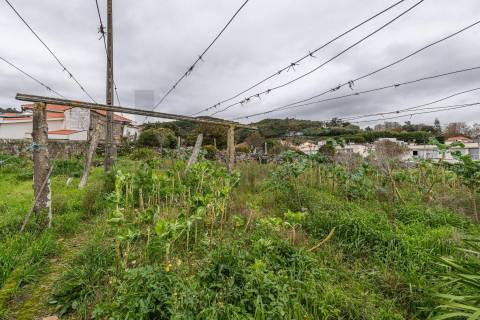 Moradia para restauro em Vila Praia de Âncora