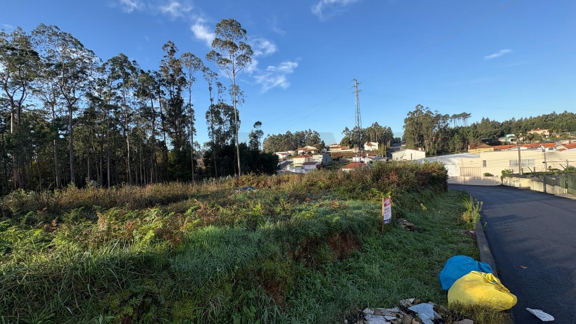 Terreno de 5.898m² em Rio Meão – Oportunidade para Construtores - PIP em aprovação