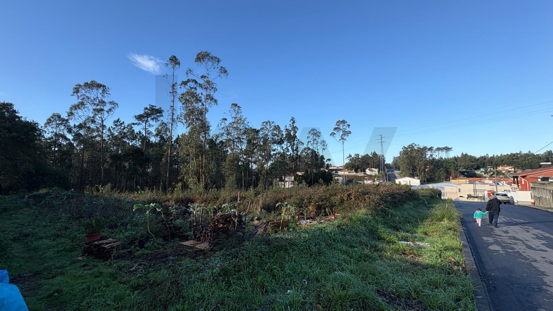 Terreno de 5.898m² em Rio Meão – Oportunidade para Construtores - PIP em aprovação