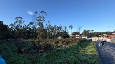 Terreno de 5.898m² em Rio Meão – Oportunidade para Construtores - PIP em aprovação