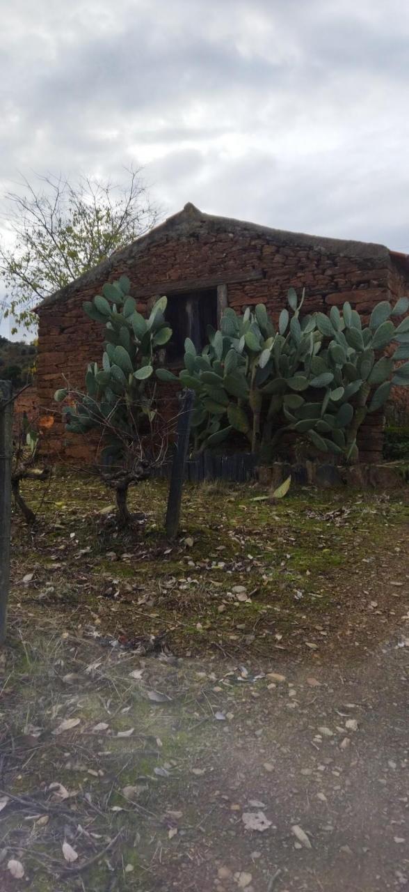 Quinta Vitivinícola de 5 Hectares  - Douro Superior