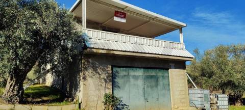 Quinta Vitivinícola de 5 Hectares  - Douro Superior