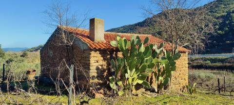 Quinta Vitivinícola de 5 Hectares  - Douro Superior