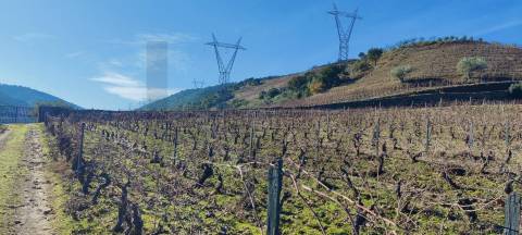 Quinta Vitivinícola de 5 Hectares  - Douro Superior