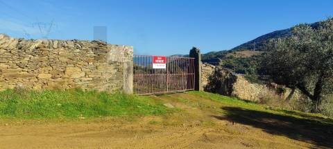 Quinta Vitivinícola de 5 Hectares  - Douro Superior