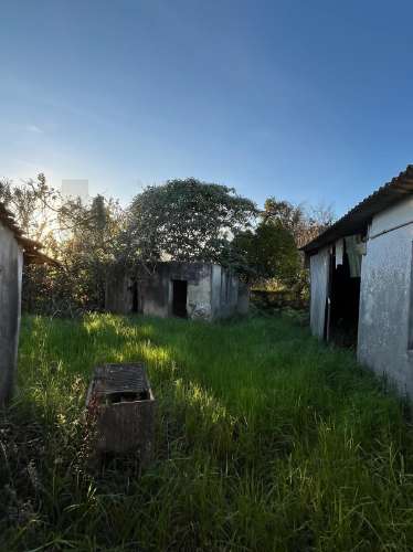 Moradia Térrea para Reconstrução – Excelente Localização, perto do Centro da Cidade