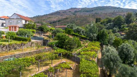 🌿 Terreno com Potencial de Construção em Montaria – Serra d’Arga 