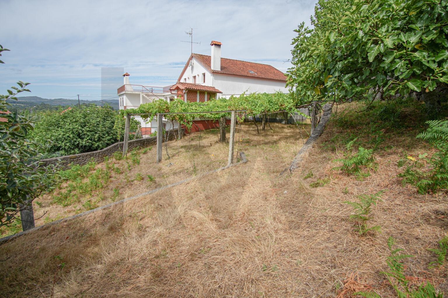 🌿 Terreno com Potencial de Construção em Montaria – Serra d’Arga 