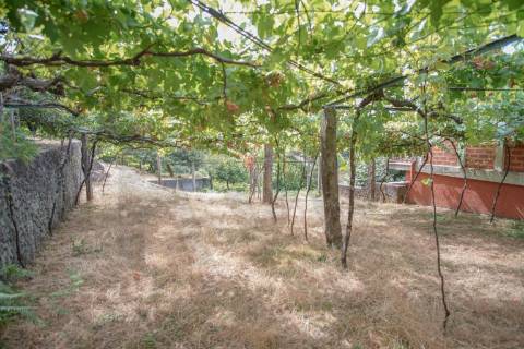 🌿 Terreno com Potencial de Construção em Montaria – Serra d’Arga 