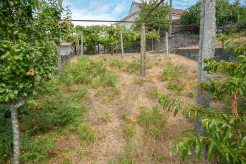 🌿 Terreno com Potencial de Construção em Montaria – Serra d’Arga 