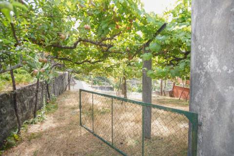 🌿 Terreno com Potencial de Construção em Montaria – Serra d’Arga 