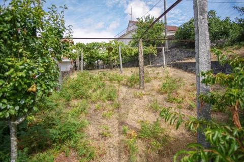 🌿 Terreno com Potencial de Construção em Montaria – Serra d’Arga 