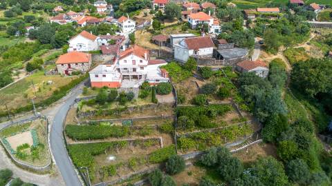 🌿 Terreno com Potencial de Construção em Montaria – Serra d’Arga 
