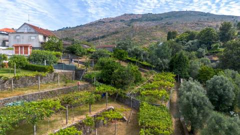 🌿 Terreno com Potencial de Construção em Montaria – Serra d’Arga 