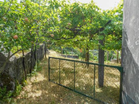 Terreno urbano com garagem e viabilidade de construção em Montaria, Viana do Castelo
