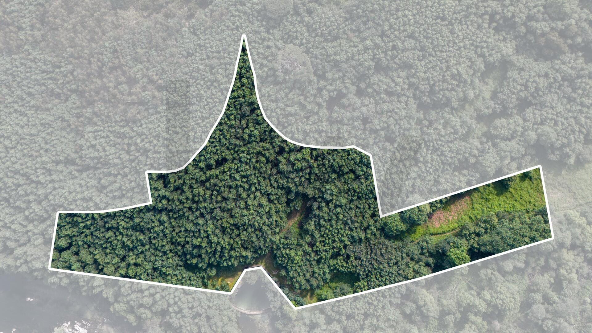 Terreno em Venda - Oportunidade Única em Braga 