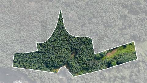 Terreno em Venda - Oportunidade Única em Braga 