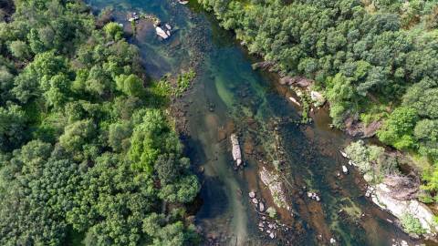 Terreno em Venda - Oportunidade Única em Braga 