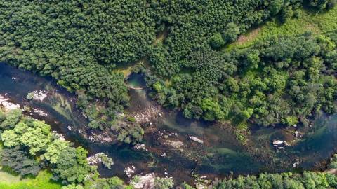 Terreno em Venda - Oportunidade Única em Braga 