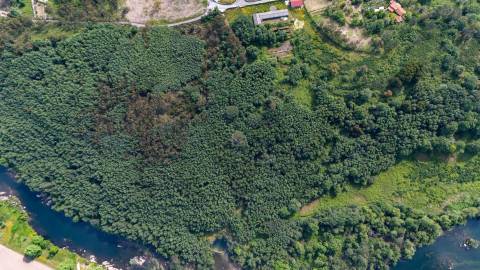 Terreno em Venda - Oportunidade Única em Braga 