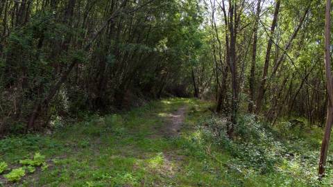 Terreno em Venda - Oportunidade Única em Braga 