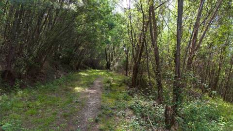 Terreno em Venda - Oportunidade Única em Braga 