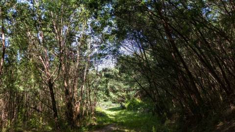 Terreno em Venda - Oportunidade Única em Braga 