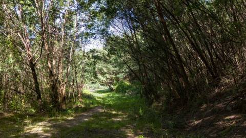 Terreno em Venda - Oportunidade Única em Braga 