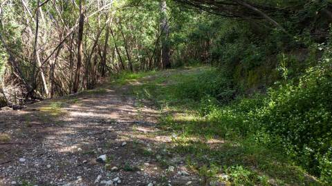 Terreno em Venda - Oportunidade Única em Braga 