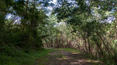 Terreno em Venda - Oportunidade Única em Braga 