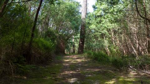 Terreno em Venda - Oportunidade Única em Braga 
