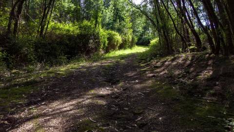 Terreno em Venda - Oportunidade Única em Braga 