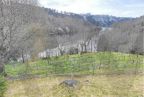 Propriedade de Luxo junto ao Rio Tâmega | Santo Isidoro – Marco de Canaveses