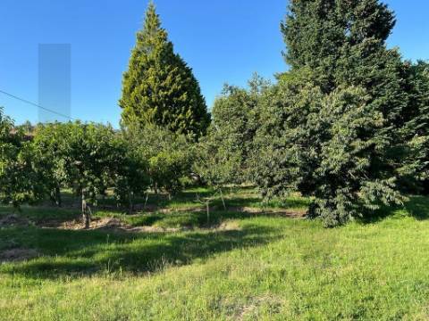 Propriedade de Luxo junto ao Rio Tâmega | Santo Isidoro – Marco de Canaveses