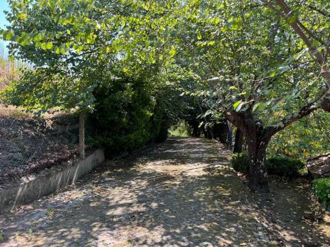 Propriedade de Luxo junto ao Rio Tâmega | Santo Isidoro – Marco de Canaveses