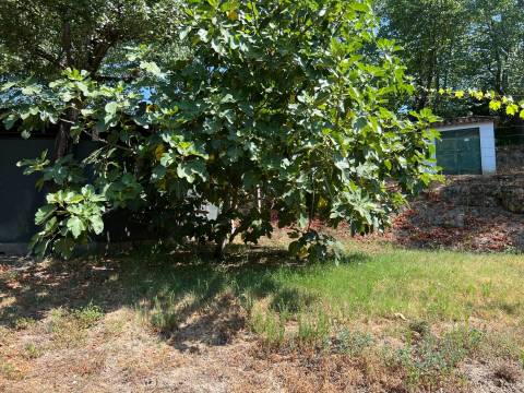 Propriedade de Luxo junto ao Rio Tâmega | Santo Isidoro – Marco de Canaveses