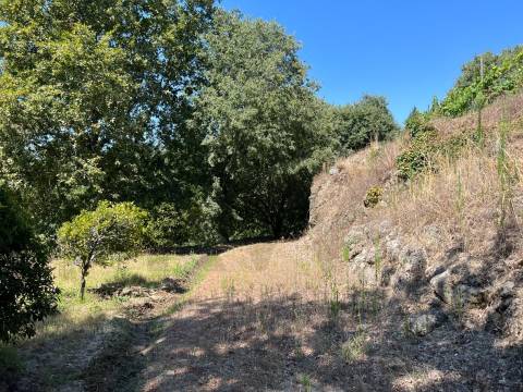 Propriedade de Luxo junto ao Rio Tâmega | Santo Isidoro – Marco de Canaveses