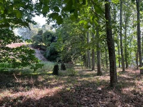 Propriedade de Luxo junto ao Rio Tâmega | Santo Isidoro – Marco de Canaveses