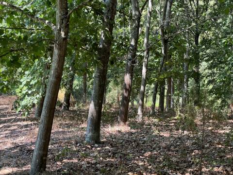 Propriedade de Luxo junto ao Rio Tâmega | Santo Isidoro – Marco de Canaveses