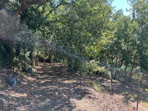 Propriedade de Luxo junto ao Rio Tâmega | Santo Isidoro – Marco de Canaveses