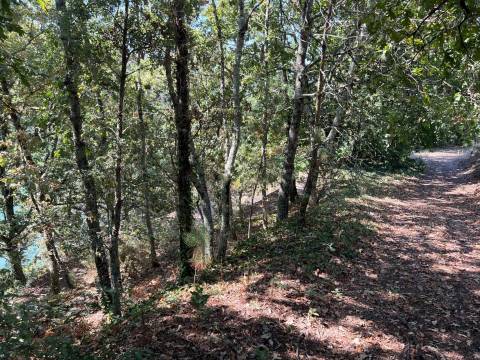 Propriedade de Luxo junto ao Rio Tâmega | Santo Isidoro – Marco de Canaveses